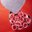 Love Heart Backgrounds