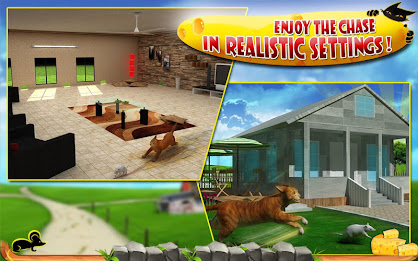 Crazy Cat vs. Mouse 3D poster 10