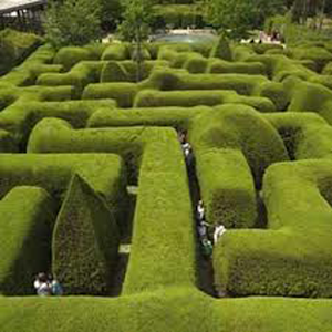Strange maze 1.0
