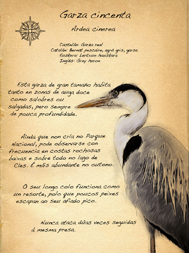 【免費旅遊App】Fauna of Islands of Galicia-APP點子