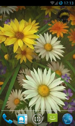 Bee Live Wallpaper HD