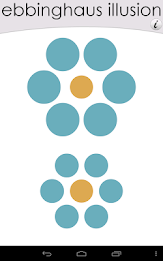 Vision & Illusions poster 8