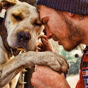 Doggy Love by Carole Pallier  - Animals - Dogs Portraits
