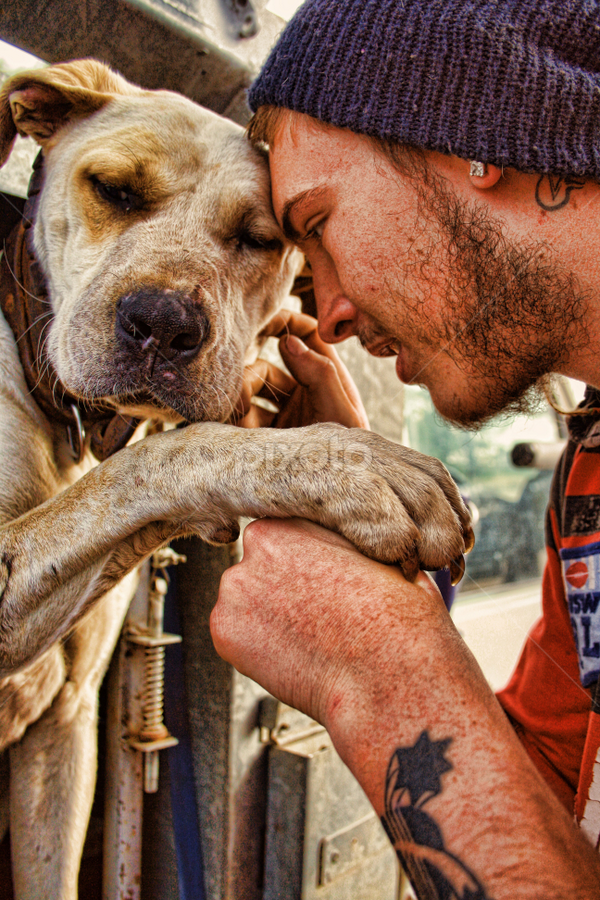 Doggy Love by Carole Pallier  - Animals - Dogs Portraits