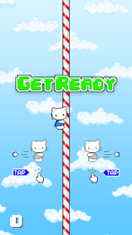 Sliding Kitty poster 11