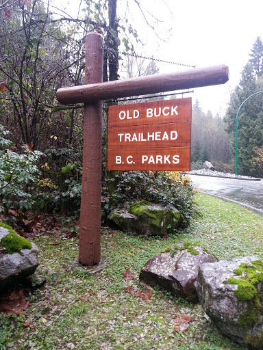 Old Buck Trail Head