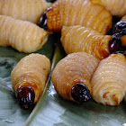 palm beetle grubs