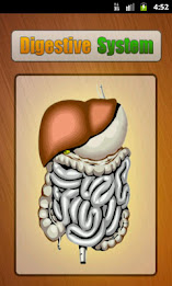 Human Digestive System by Webrich Software poster 1