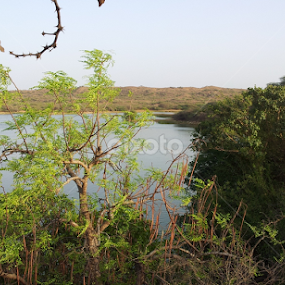 Chadva Rakhal by Bharat Darji - Landscapes Forests