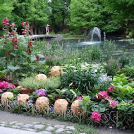 菁芳園 Tenway Garden／花園餐廳／落羽松