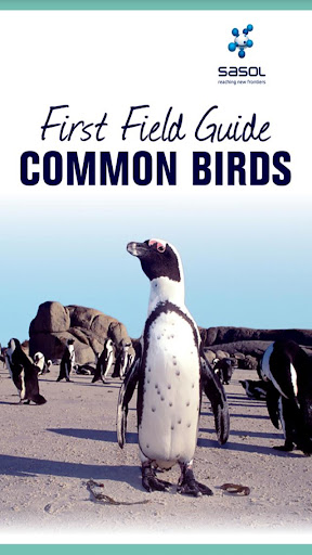 Sasol Field Guide Common Birds