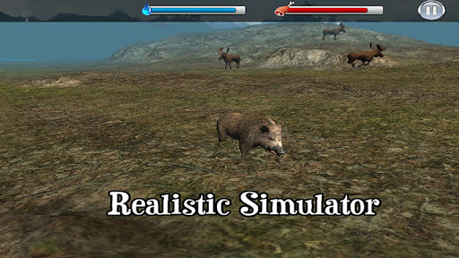 Boar Simulator