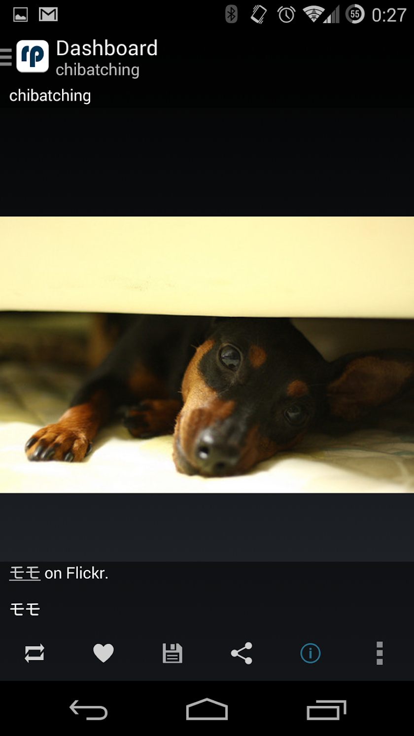 reprintr - Tumblr photo viewer Screen 3
