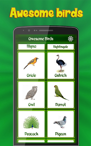 Birds Calls Sounds Ringtones