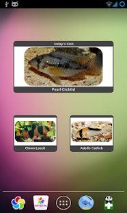 How to get Tropical Fish Widget 1.77 mod apk for laptop