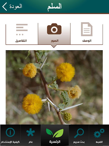 【免費商業App】Arriyadh Plants بيئة الرياض-APP點子