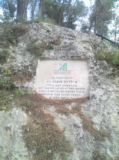 Bilvia Maoz Forest