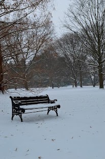 Lastest Winter Images APK