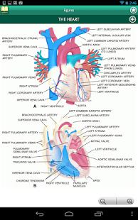 Taber's Medical Dictionary 22 Screenshots 17
