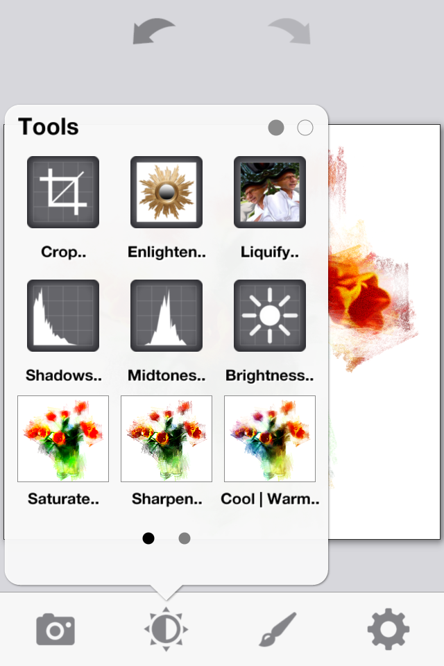 PhotoViva Screen 2
