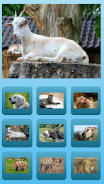 animal sound effects poster 5