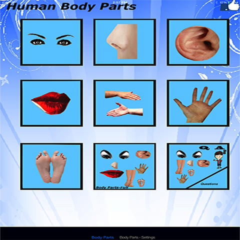 Body Parts - 2 languages