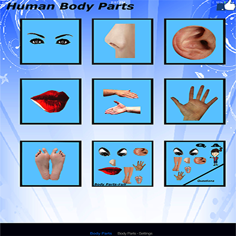 【免費教育App】Body Parts - 2 languages-APP點子