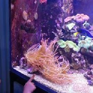 七星柴魚博物館