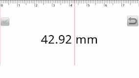 Andro Ruler