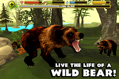 Wildlife Simulator: Bear