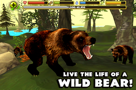 Wildlife Simulator: Bear(圖1)-速報App