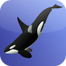 Killer Whale Games Game icon