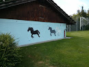 Wall Art Horses