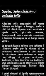 Spello - Umbria Musei poster 4