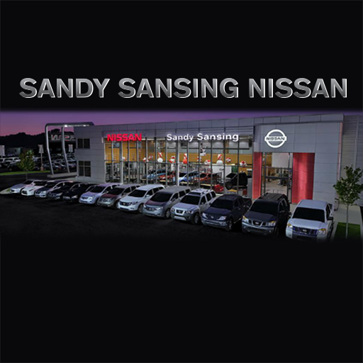 what is sandy sansing net worth - Ilustrasi 3