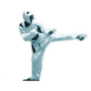 TPSS Online logo