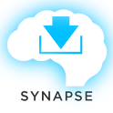 Mandarin Chinese Synapse logo