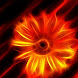 Fire Flower HD LIVE WALLPAPER