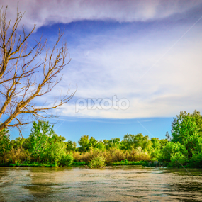 Danube Delta by Catalin Soare - Landscapes Waterscapes