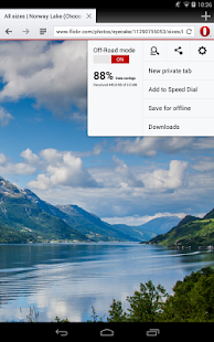 Navigateur Opera pour Android - screenshot thumbnail
