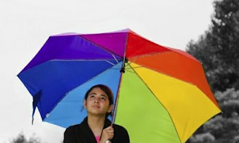 PicSay Pro MOD APK [v1.8.05]