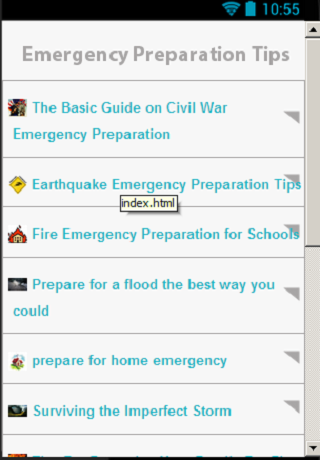 Disaster Tips