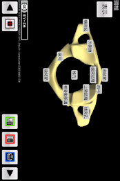 和鍼灸院式骨学R 2D poster 10