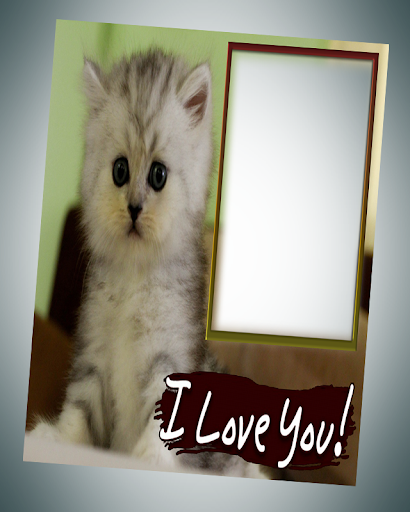 photo frames cat pic frames