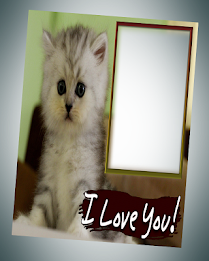 photo frames cat pic frames poster 1