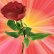Sun Rose Live Wallpaper