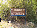 Big Lake Boat Launch