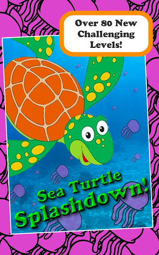 Sea Turtle Splashdown