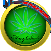 Mary Plants - PRO