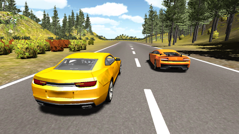 Rally Racer 3D poster 2